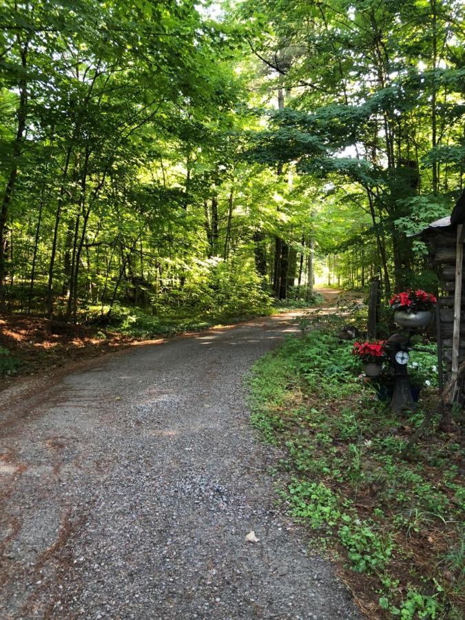 Country Living Bed & Breakfast Gravenhurst Bagian luar foto